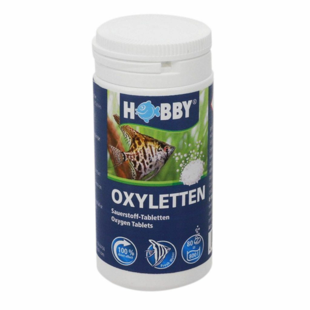 Hobby Oxyletten 80