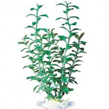 penn-plax-plant-groen-blooming-ludwigia-p-12sh