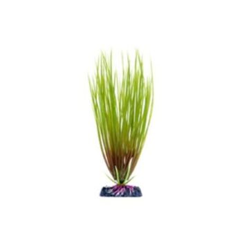 pp-plant-groen-hair-grass-p-16lh