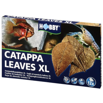 HOBBY NANO CATAPPA LEAVES XL 12 ST