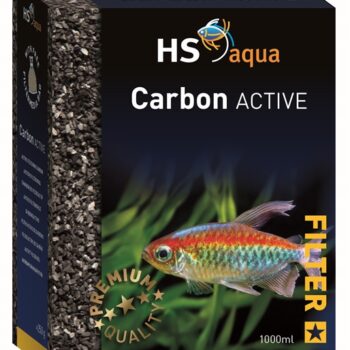 Carbon active